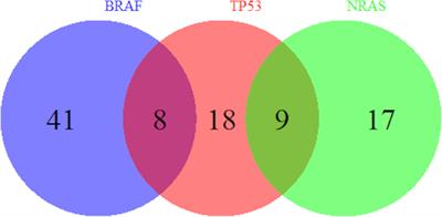 The Genetics of Early-Stage Melanoma in a Veteran Population